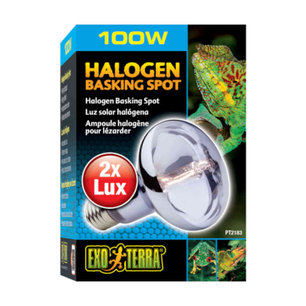 Exo_Terra_Halogen_Basking_Spot_Lamp_100w