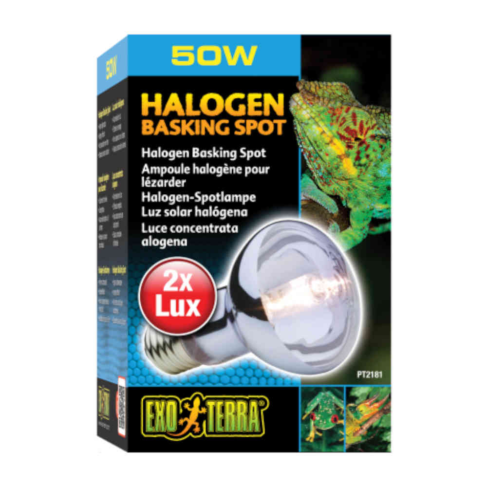 Exo_Terra_Halogen_Basking_Spot_Lamp_50w