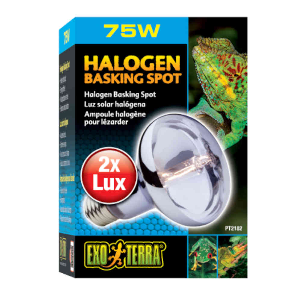 Exo_Terra_Halogen_Basking_Spot_Lamp_75w