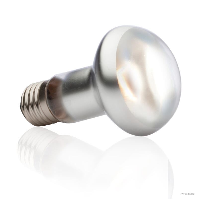 Exo Terra Intense Basking Spot Lamp