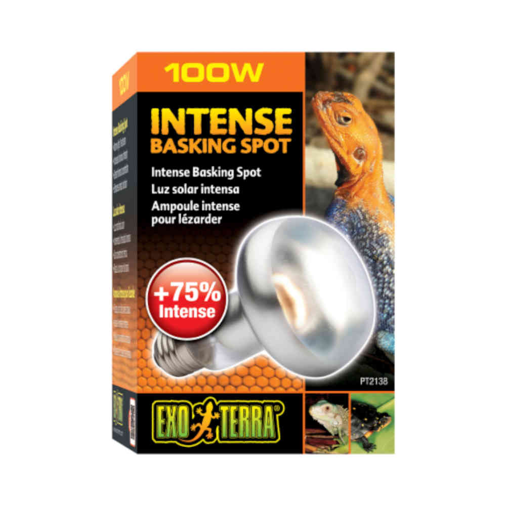Exo_Terra_Intense_Basking_Spot_Lamp_100w