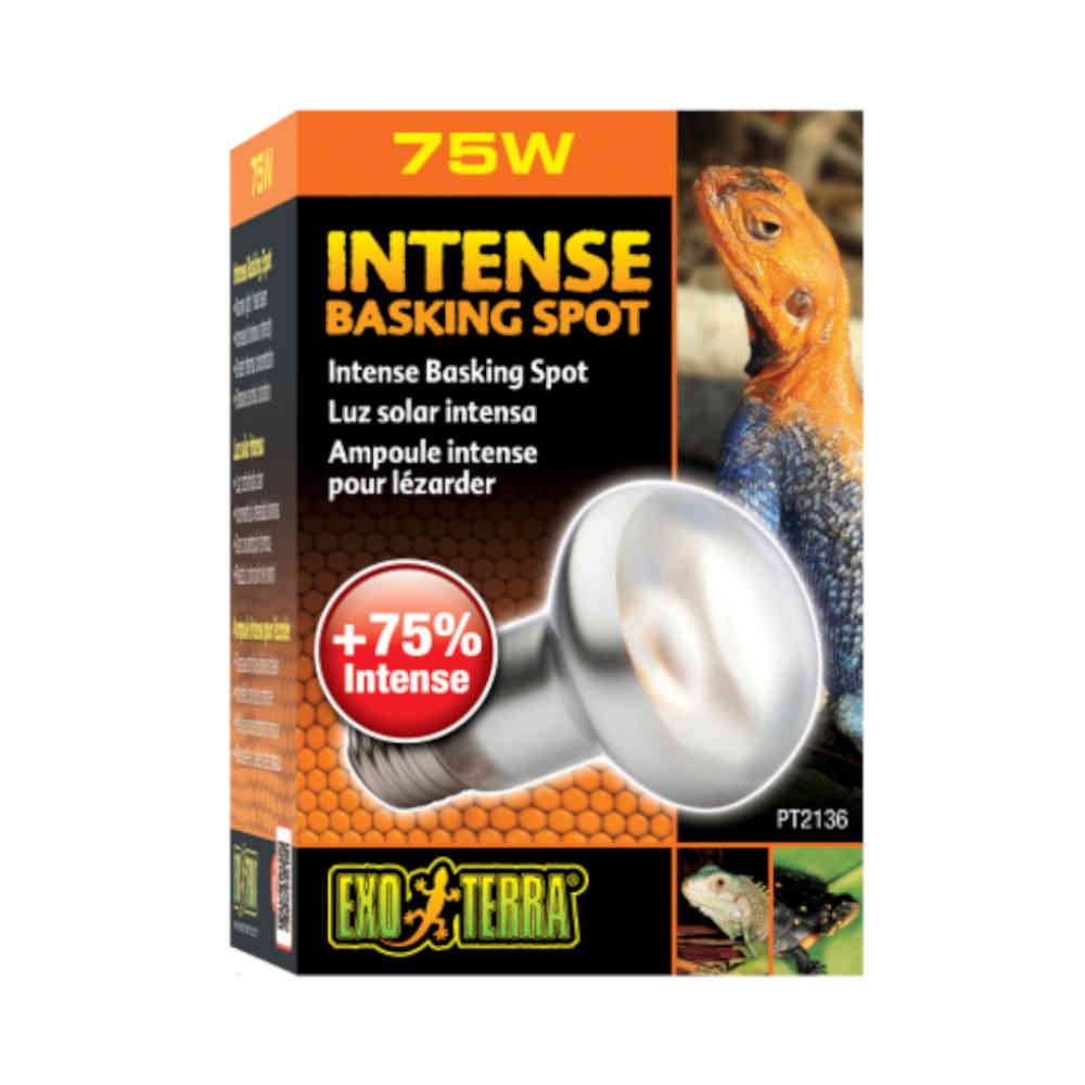 Exo_Terra_Intense_Basking_Spot_Lamp_75w