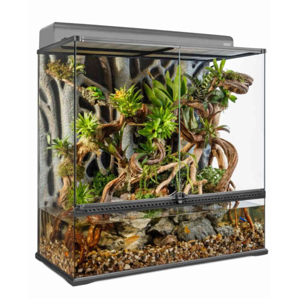 Exo_Terra_Large_Extra_Tall_All_Glass_Terrarium_90_x_45_x_90cm