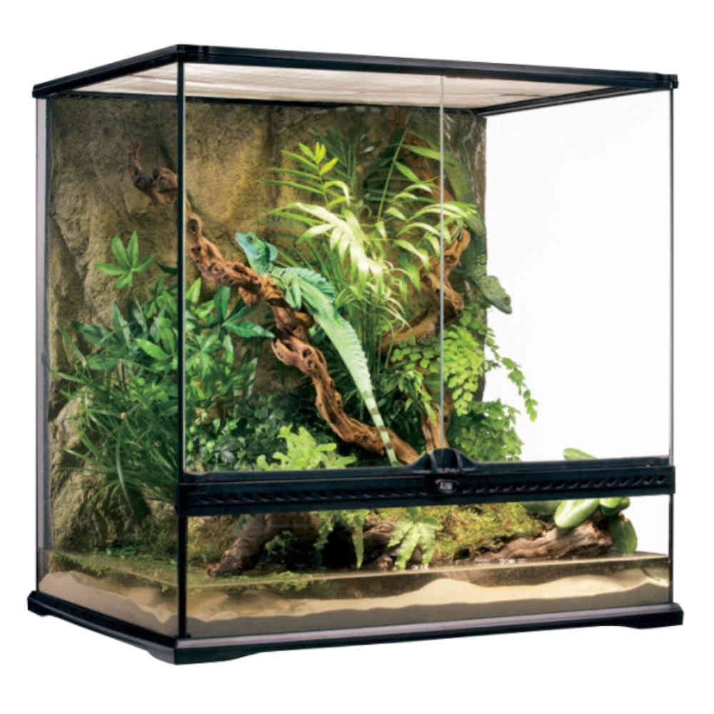 Exo_Terra_Medium_Tall_Terrarium_60_x_45_x_60cm