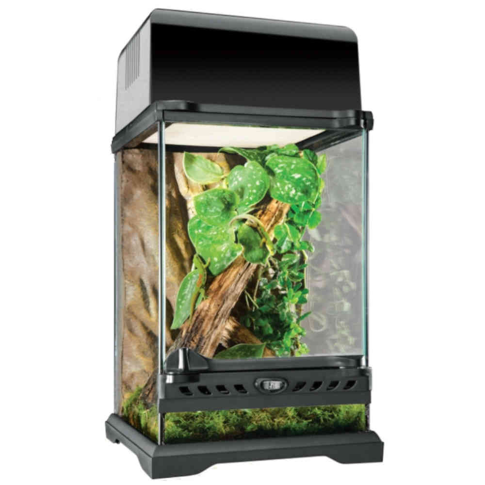 Exo_Terra_Nano_Tall_Terrarium_20_x_20_x_30cm