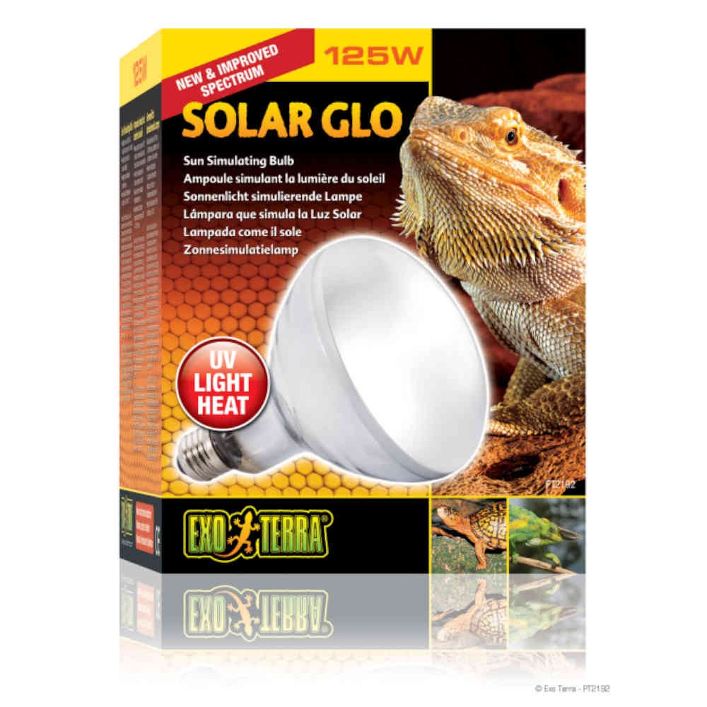 Exo_Terra_Solar_Glo_125w_Self_Ballasted_UV_Heat_Lamp