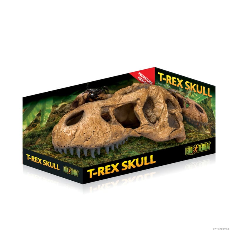Exo Terra T Rex Skull