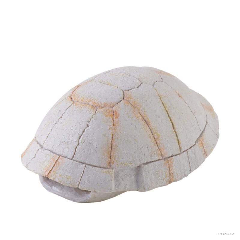 Exo Terra Tortoise Skeleton