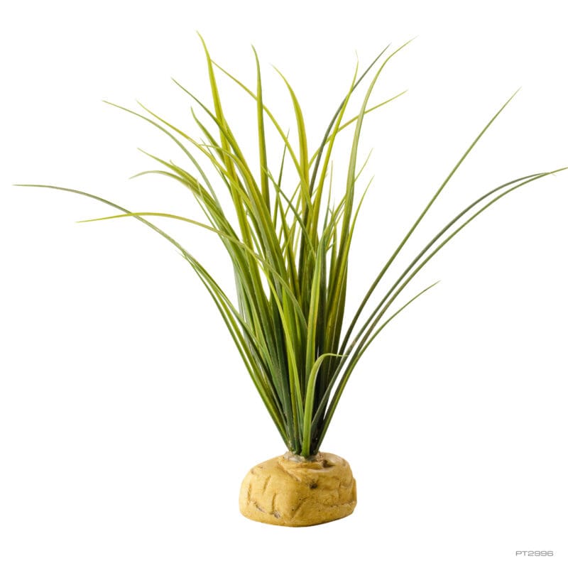 Exo Terra Turtle Grass