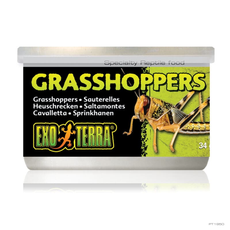 Exo Terra Wild Male Grasshoppers Small 34G