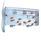 Fluval Multi Chamber Holding and Breeding Box Inside