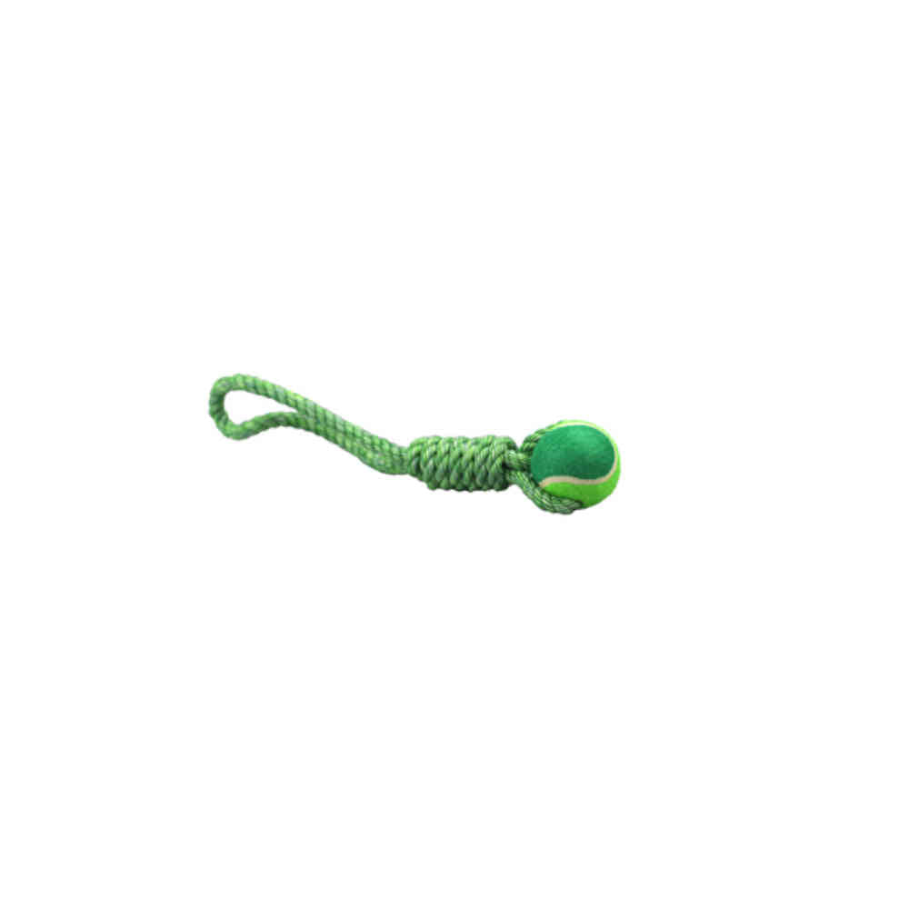 Green dog toy with a rope on a white background