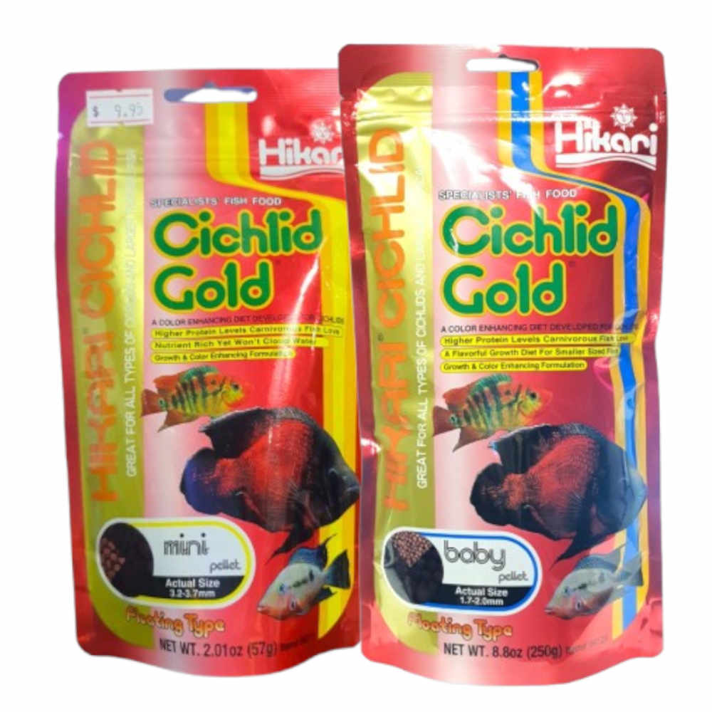 Hikari Cichlid Gold Floating Pellets