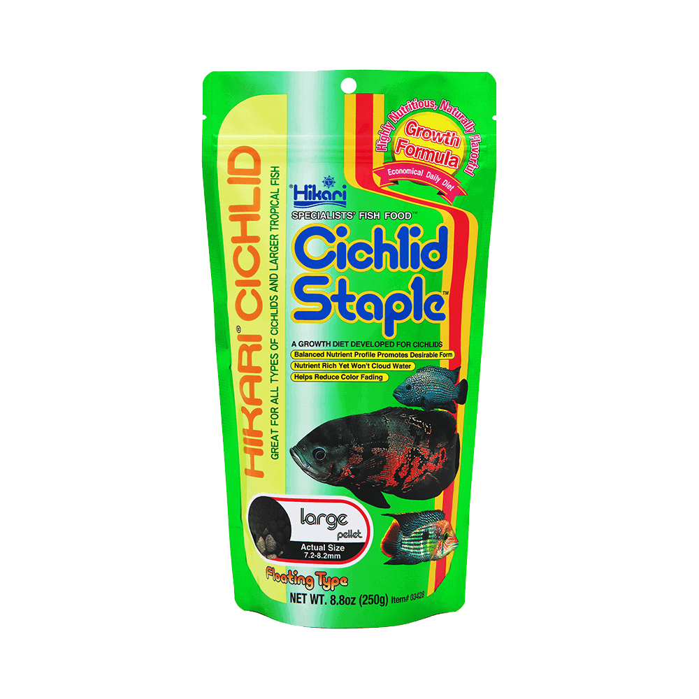 Hikari Cichlid Staple Floating Pellets Large 250G