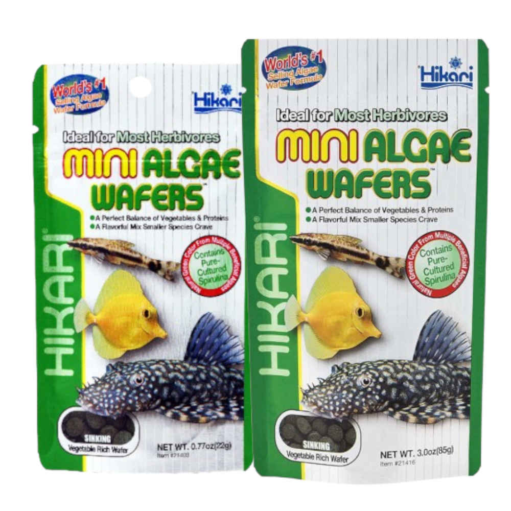 Hikari Mini Algae Wafers Sinking