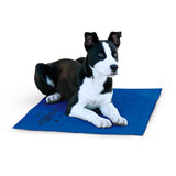 Dog lying on a blue mat with a white background
