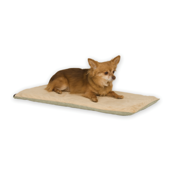 Small dog lying on a beige pet mat with a white background