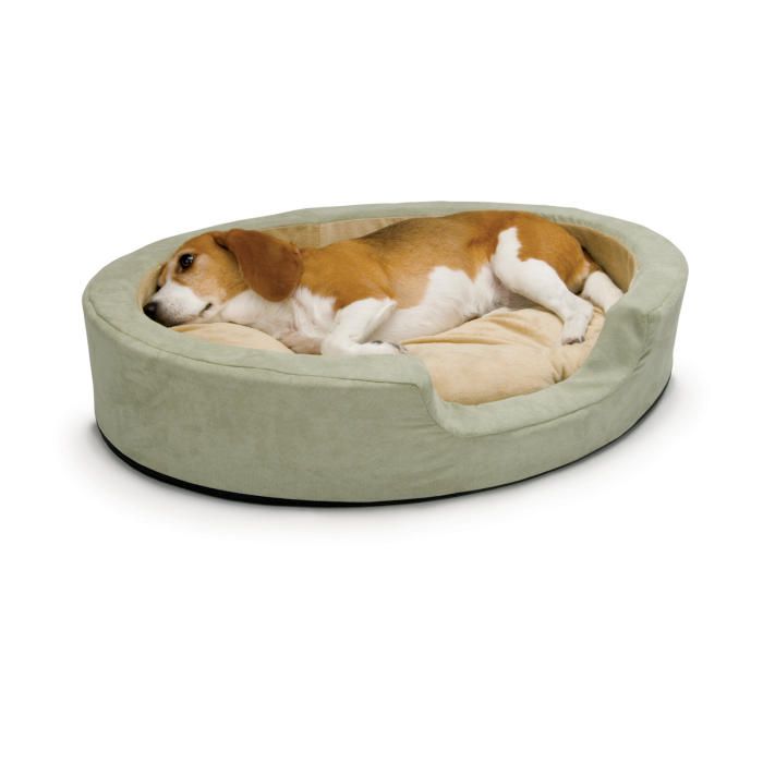 Dog lying on a green pet bed with a white background