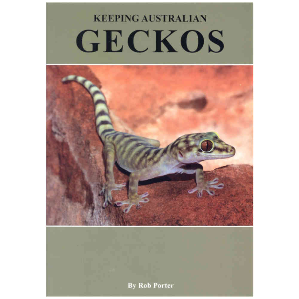 Keeping Australian Geckos