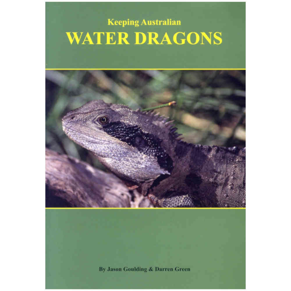 Keeping Australian Water Dragons