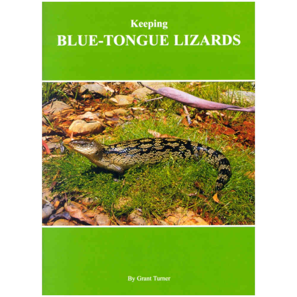 Keeping Blue Tongue Lizards Aust