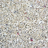 Live Aragonite Sand Coarse