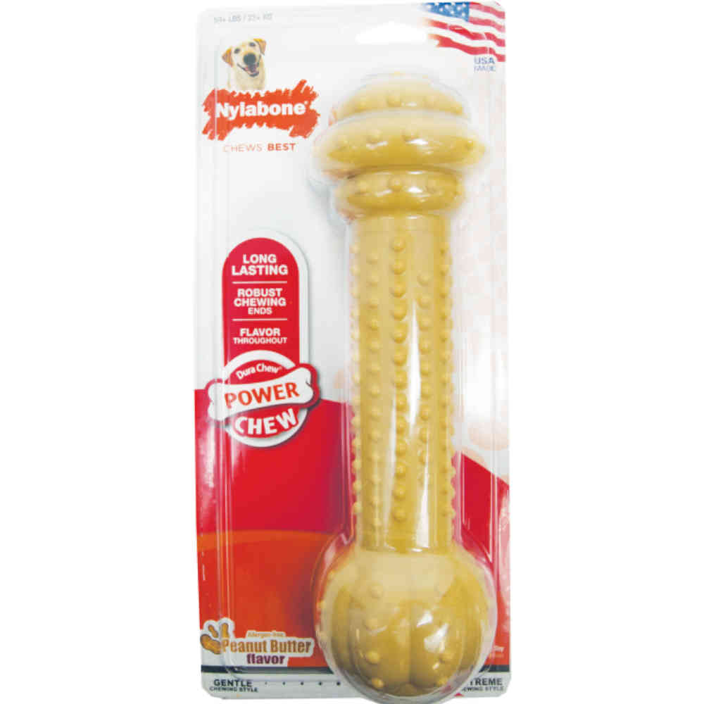 Nylabone dog chew toy in packaging with Nylabone branding.
