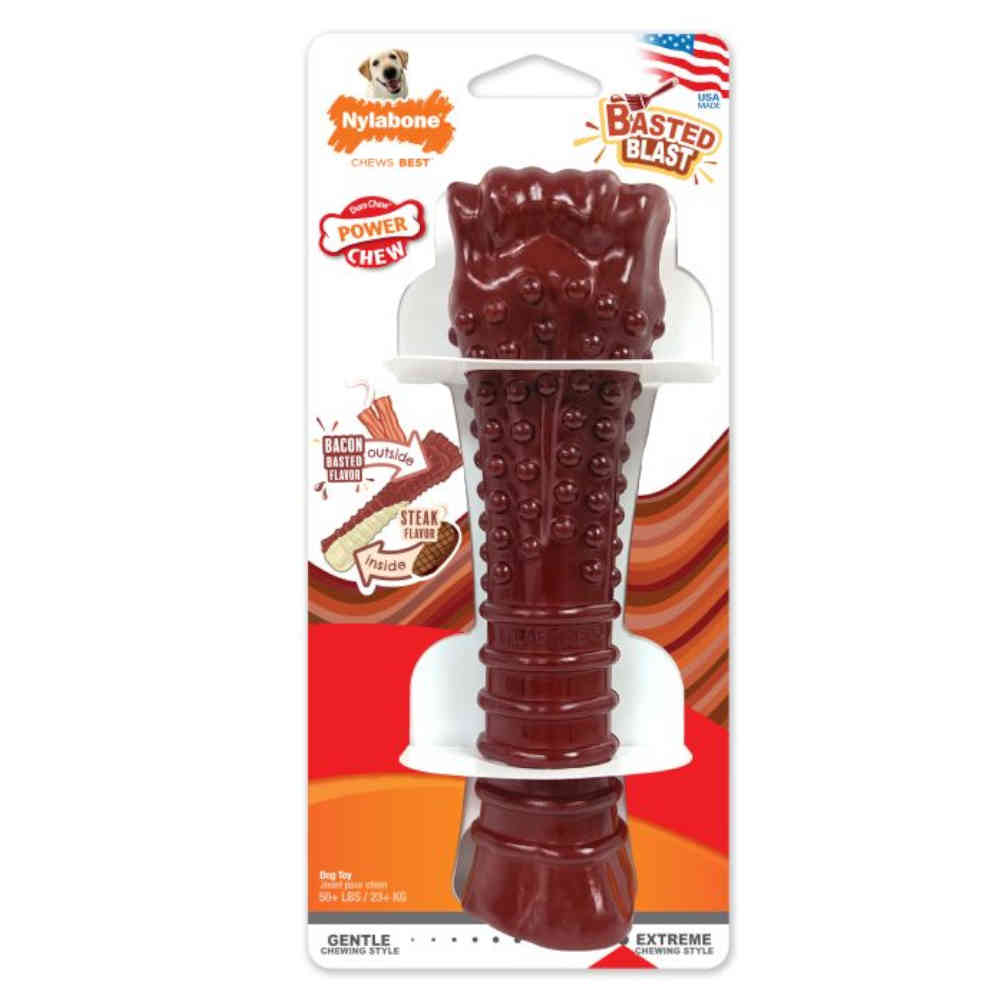 Dog chew toy with packaging featuring Nylabone branding on a white background
