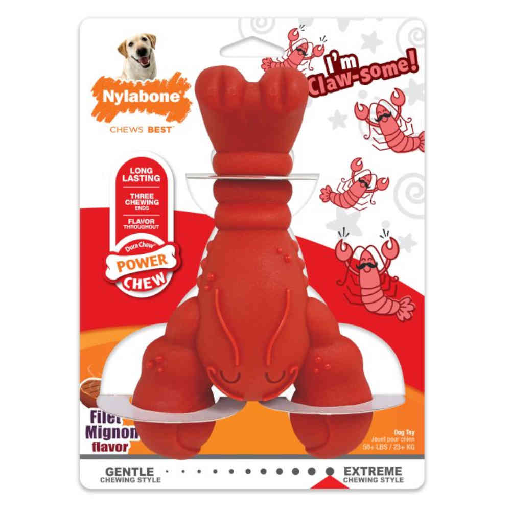 Red lobster-shaped dog chew toy with Nylabone branding on a white background