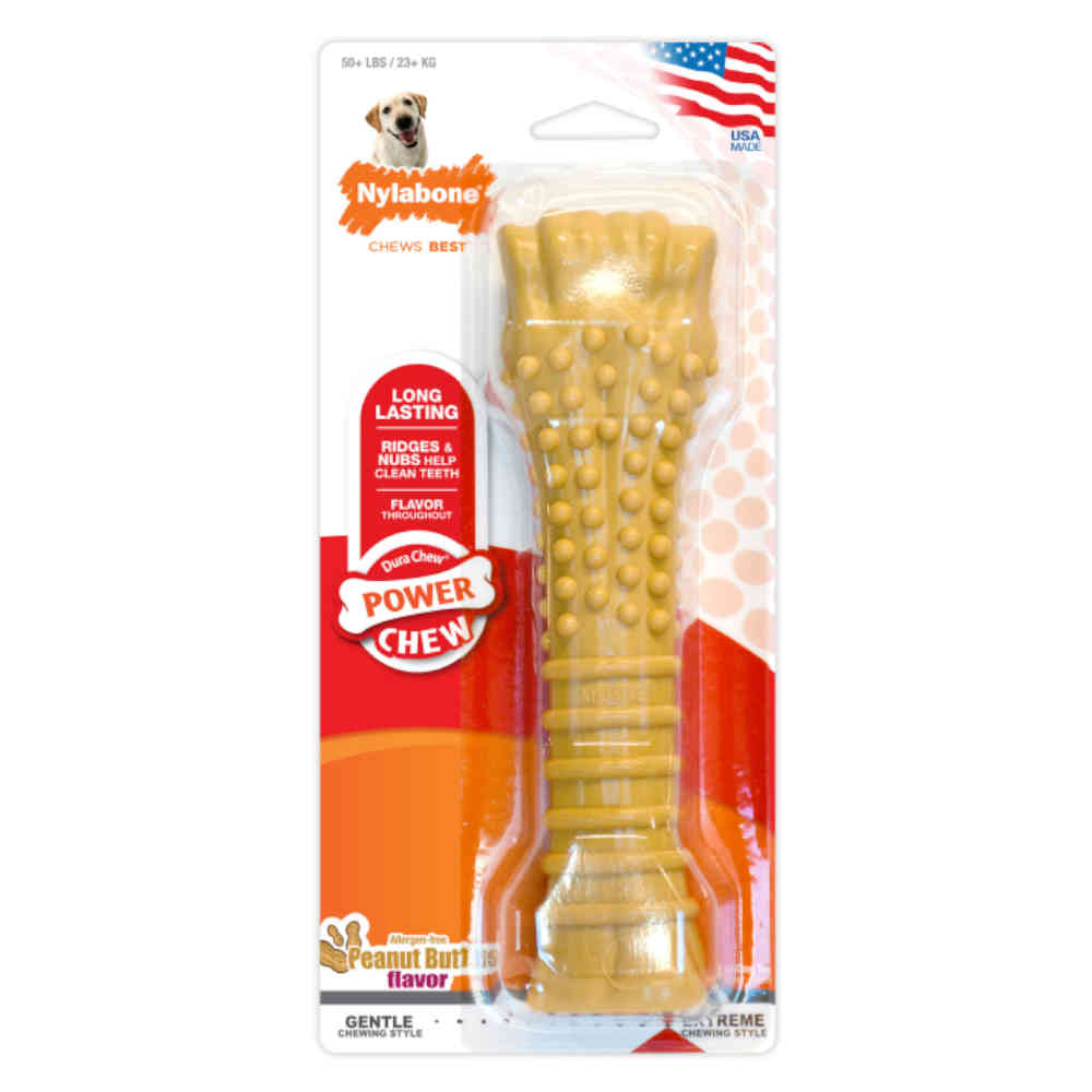 Dog chew toy in packaging with Nylabone branding on a white background