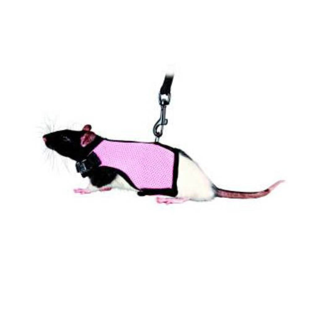 Soft Rodent Harness for Guinea Pigs & Rats
