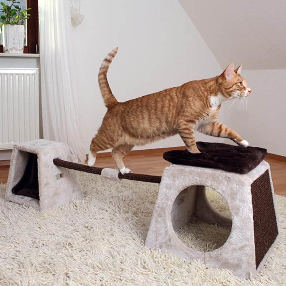 Cat Activity Balance Set 175 x 35 x 40CM Grey/Brown