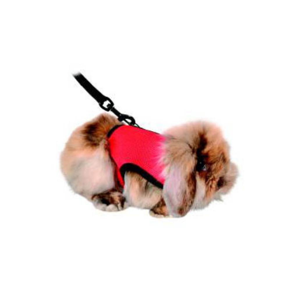 Soft Rodent Harness for Rabbits & Guinea Pigs