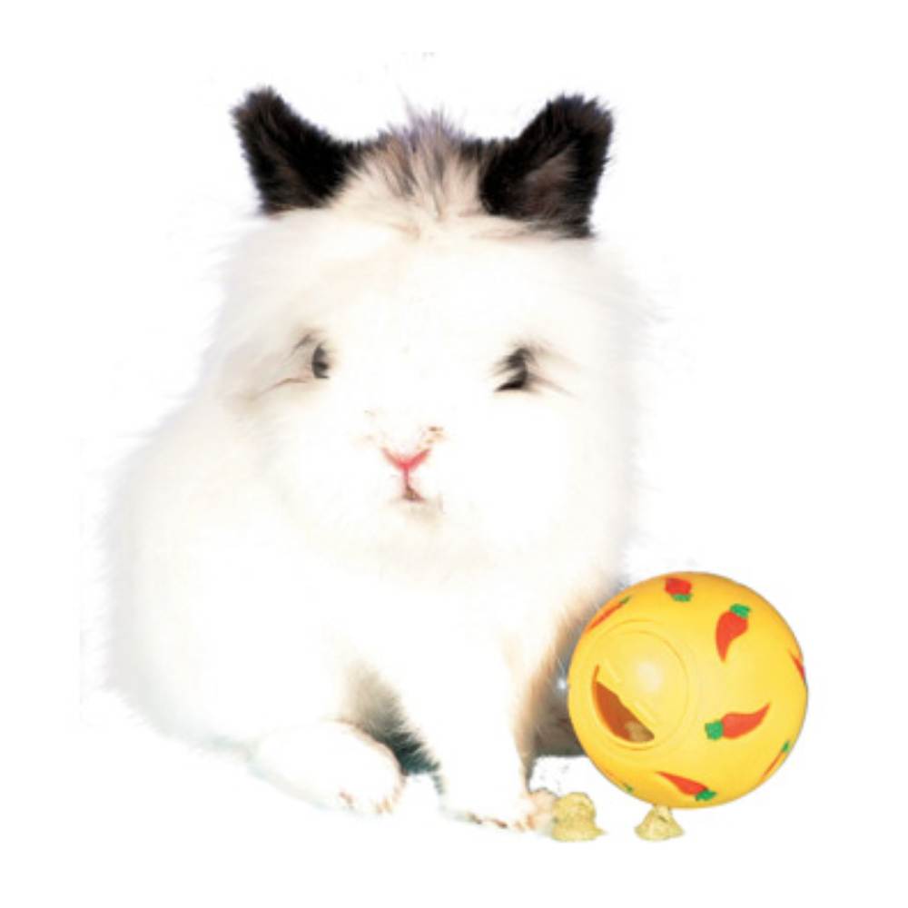 Snack Ball Plastic 7CM
