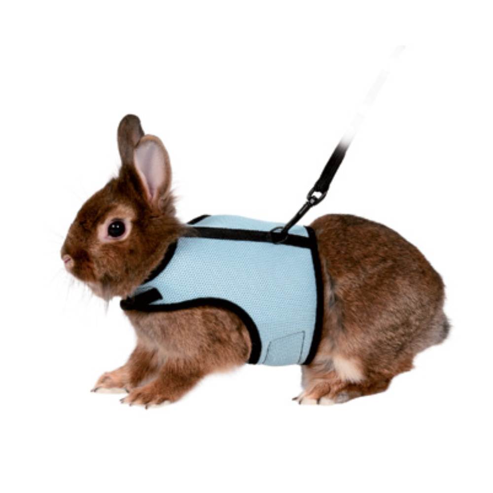 Soft Rodent Harness for Rabbits