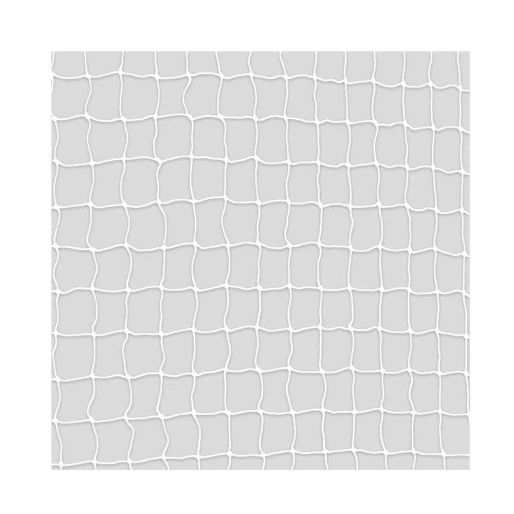 Protective Net 6 x 3 M Transparent