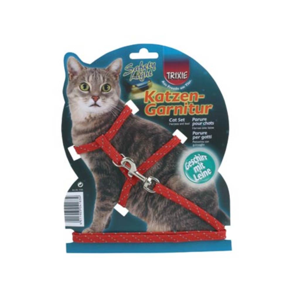 Cat Set with Lead Reflecting Nylon