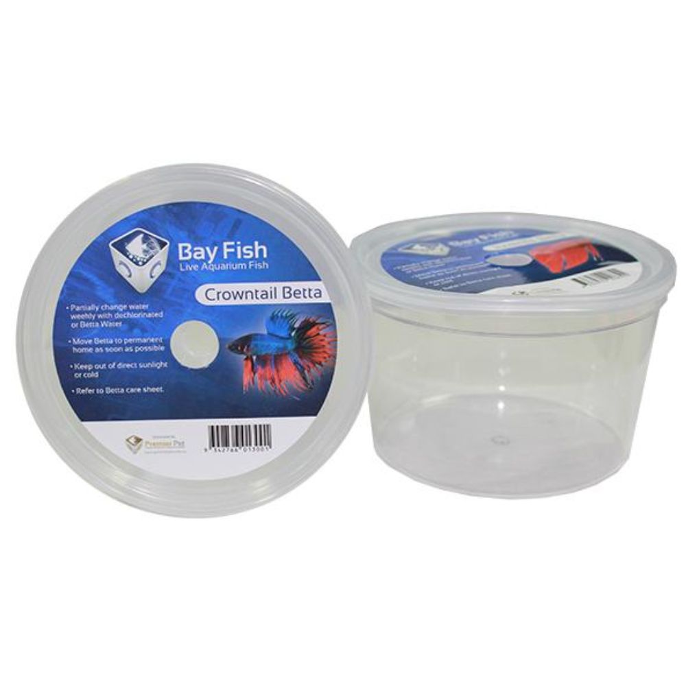 Aquatopia Betta Cup Crowntail