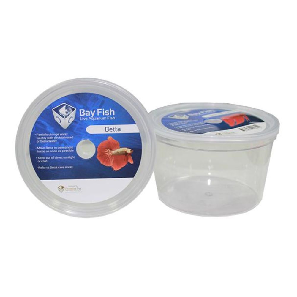 Aquatopia Betta Cup