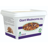 Pisces Giant Meal Worms 