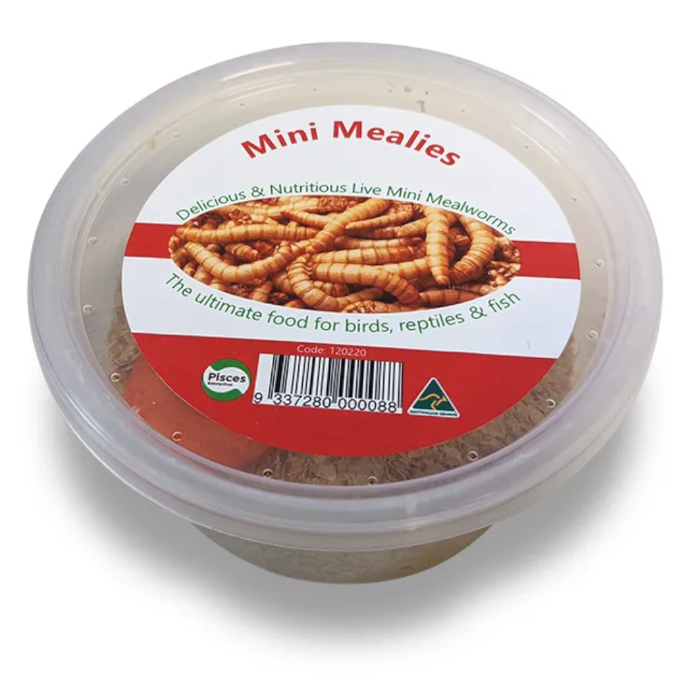 Pisces Mini Mealies 18G