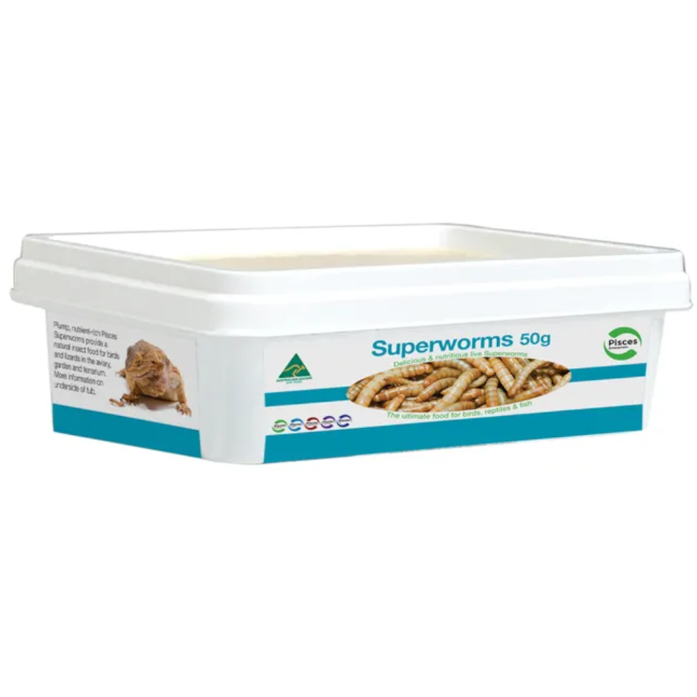 Pisces Superworms - High-Protein Live Food 50G