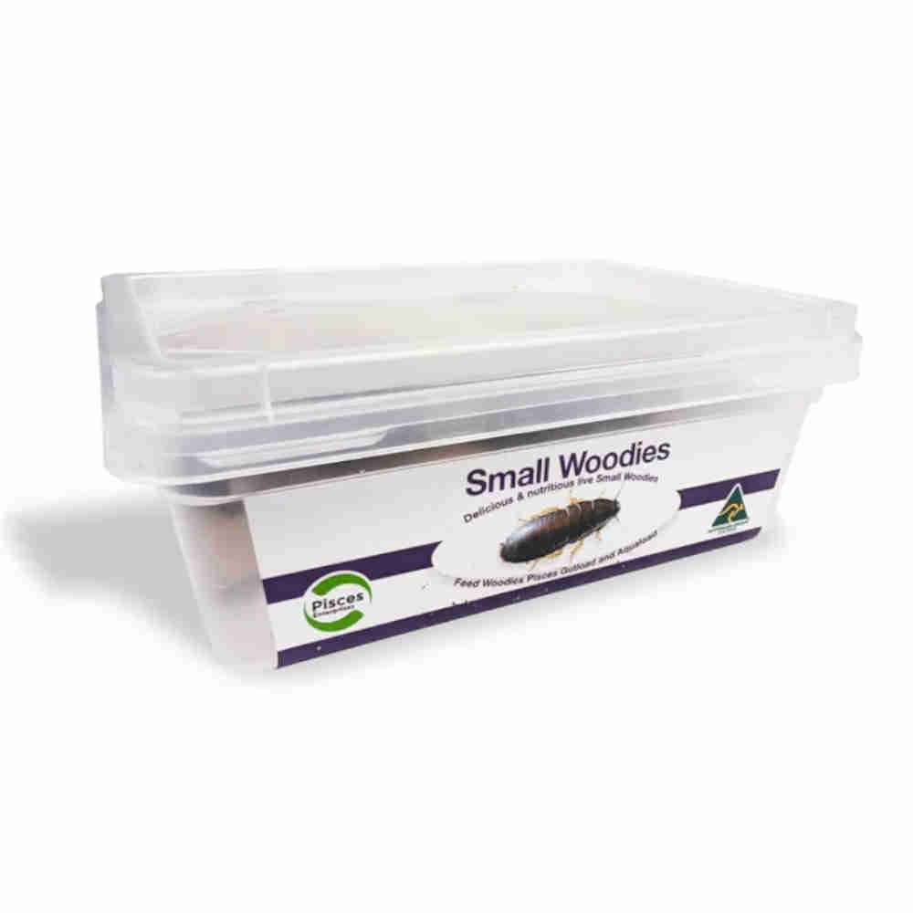 Pisces Woodies Small - 50 Tub