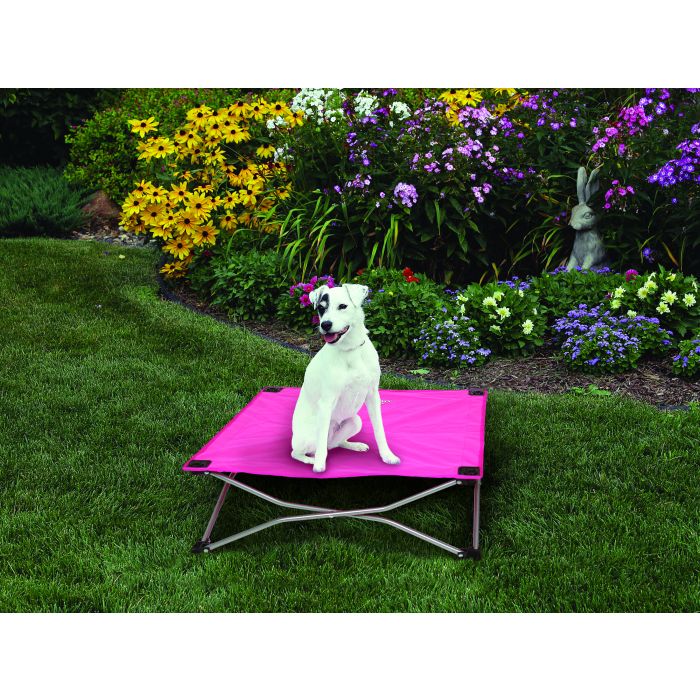 Dog sitting on a pink and black pet cot in a garden with flowers and a rabbit statue.