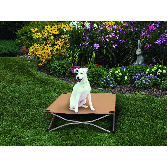 Dog sitting on a portable pet cot in a garden with flowers and grass.