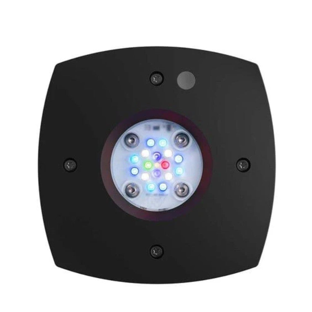 Prime 16 HD - Black