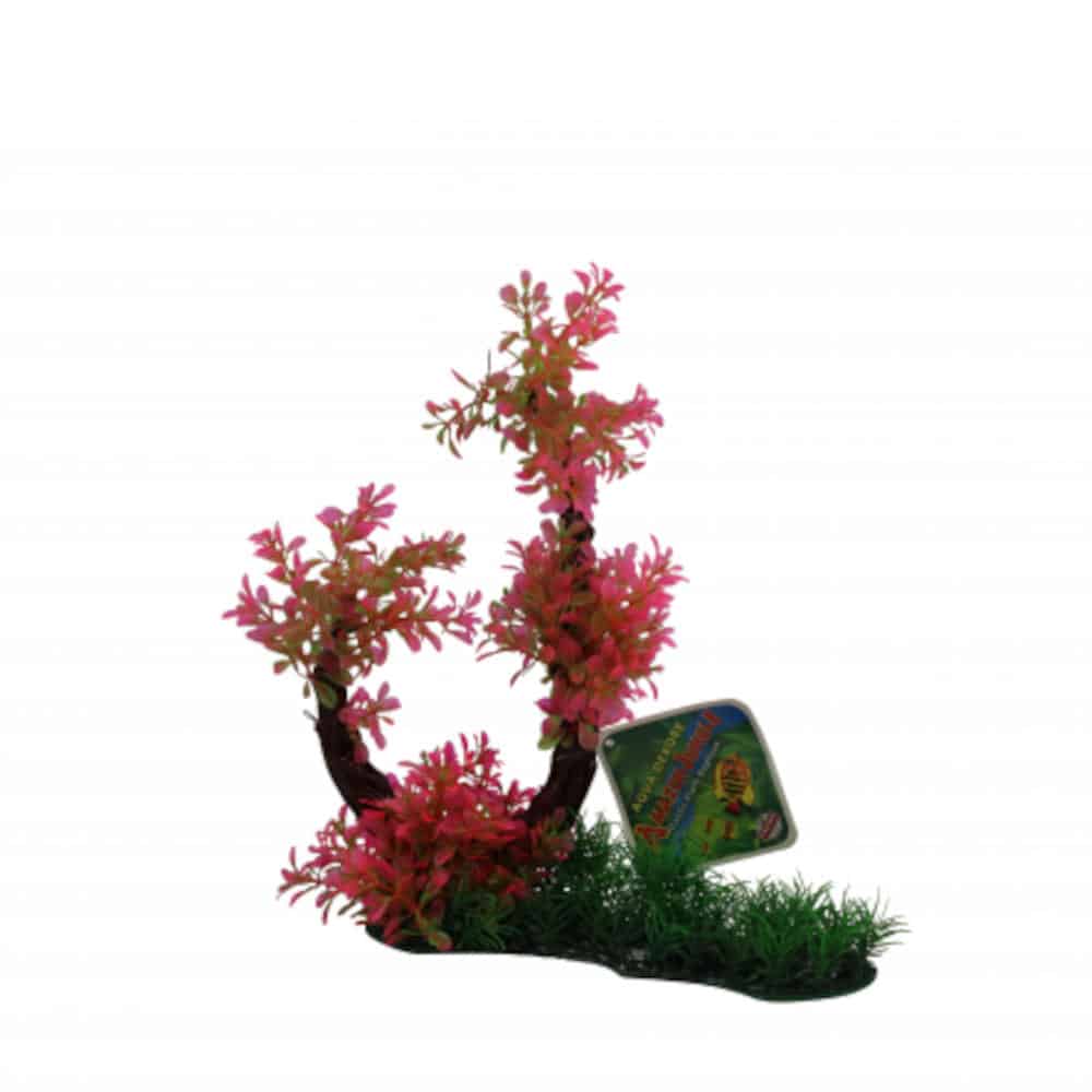 Red Hygro Tree Branch