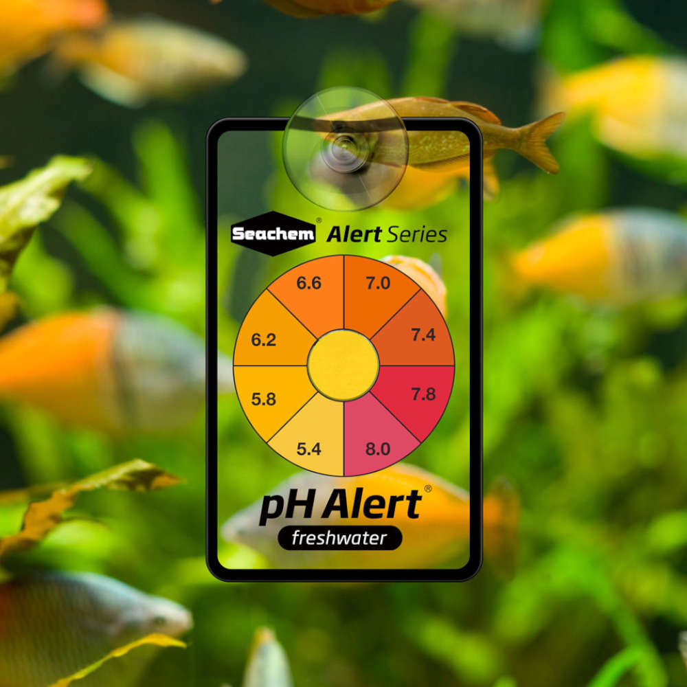 Seachem pH Alert Details