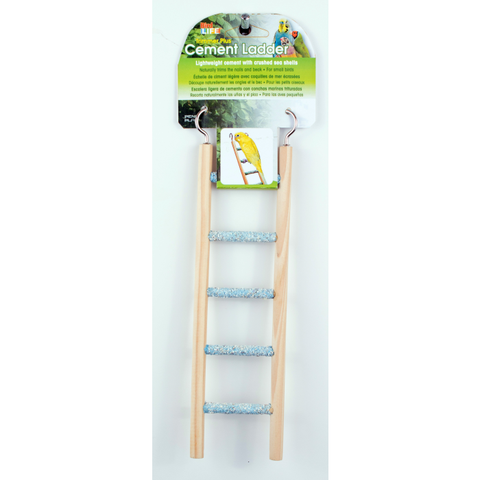 Bird Life Cement Ladder with Wood Frame 5 Step
