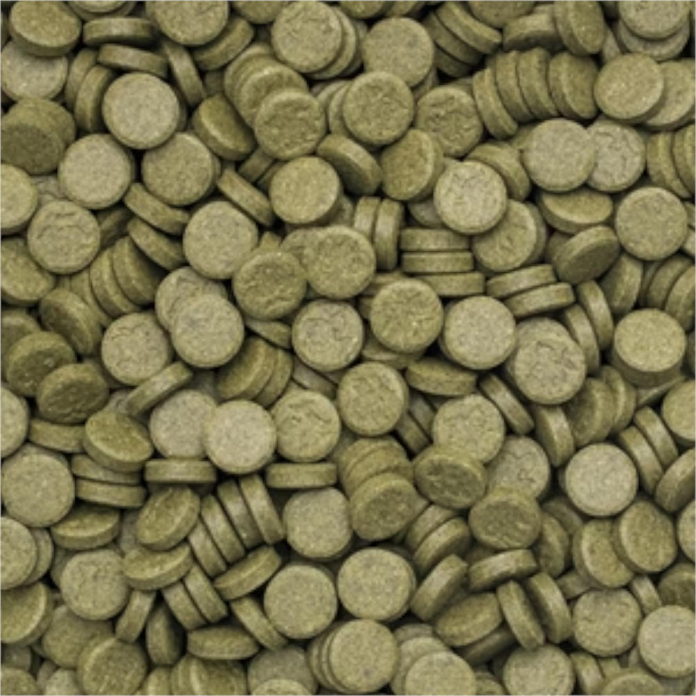 Tropical 3-Algae Tablets A